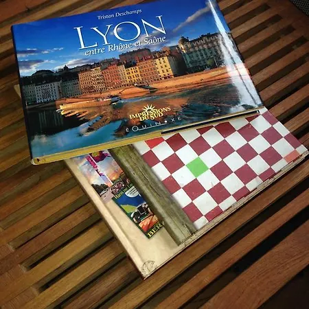 Apartamento Les Toits De Lyon