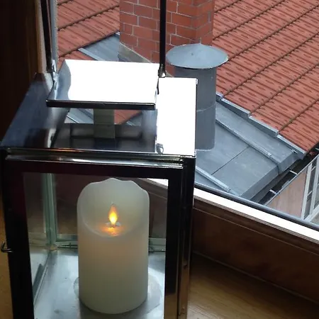 Apartamento Les Toits De Lyon